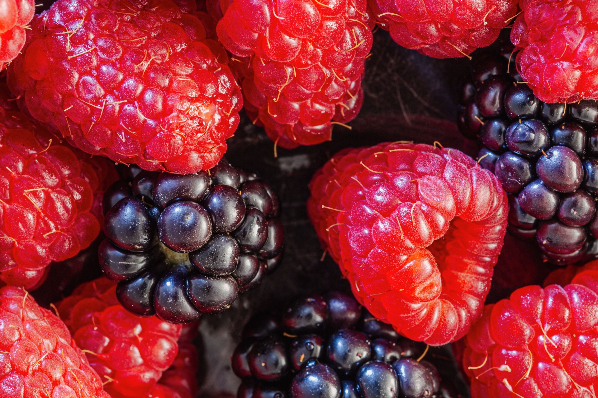 Ripe raspberries and blackberries with fresh water droplets